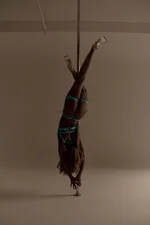 Venus Noire